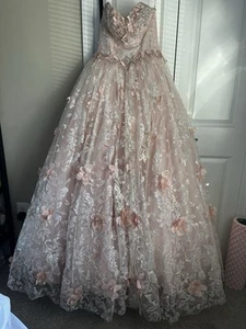 Blush Color Ballgown/Quince Dress - Picture 1 of 7