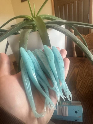 BILLTOWN BAITS 35ct 5" Robin Egg forktail fluke Split Tail Jerk Bait For Bass Fishing