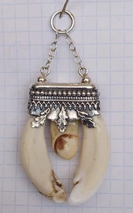 Charivari, Anhänger, Hirsch Grandeln Wildschwein 925 Silber gefasst - Bild 1 von 11