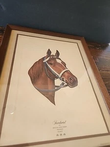 Secretariat 1973 Triple Crown Winner Framed Print 17" x 13" Frame - Picture 1 of 22