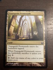 MTG Transguild Promenade Return to Ravnica 249 Regular Common