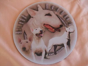 Tapis de souris - BULL TERRIER BLANC - Picture 1 of 1