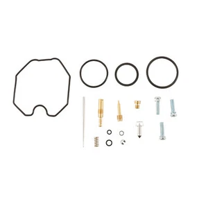 Carb Rebuild Repair Kit 2009-18 Arctic Cat 150 Utility 2x4 ATV Quad All Balls - Foto 1 di 1