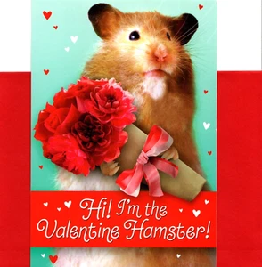 Lustige Glückwunschkarte Happy Valentinstag Hamster Hamster Punze - Bild 1 von 3