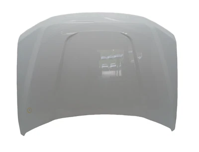 Hood Ford F250 350 450 550 600 SD Front Oxford White 2017-2022 OEM Genuine 052 Foto 1 de 4