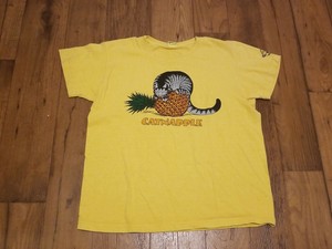 catnapple shirt