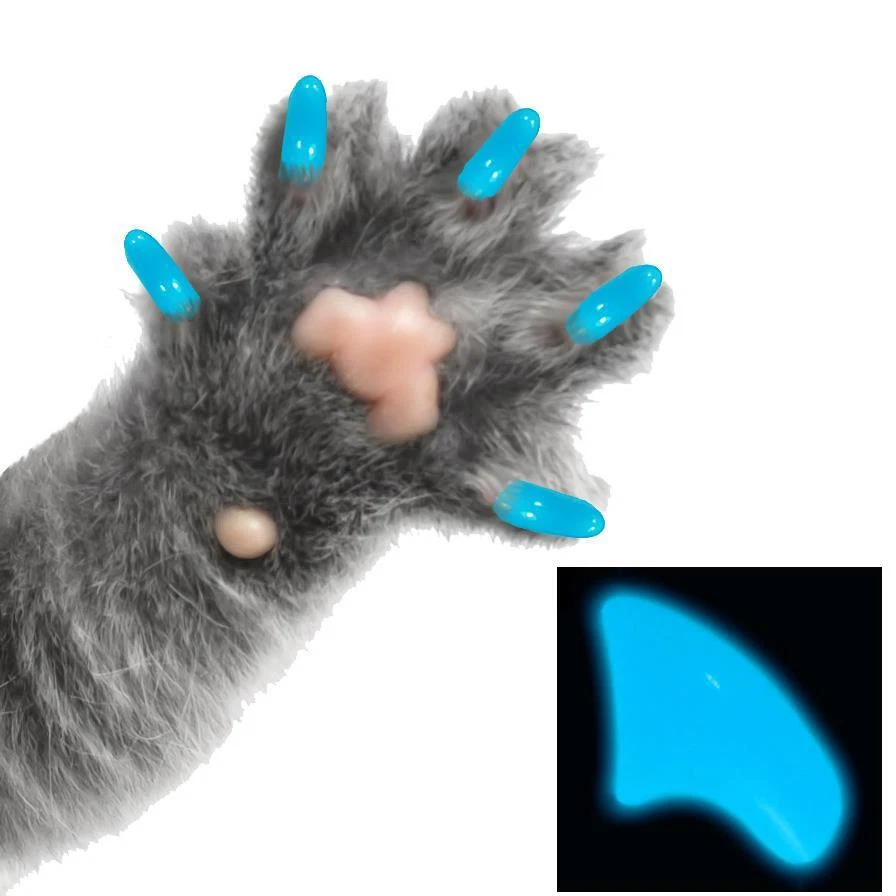 BAHAMA BLUE GLOW ~ 60 件猫爪软指甲帽 ~ 漂亮的夹子 ~ 爪子 — 第 1/1 张图片