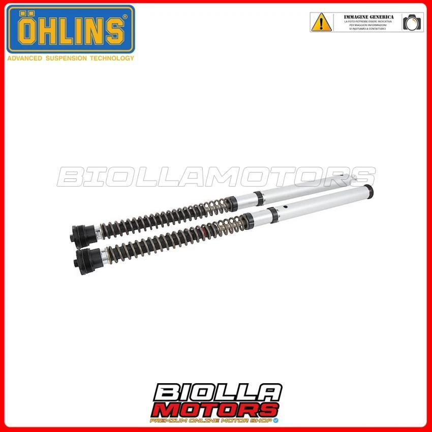 FKS521 - Kit cartucce Öhlins NI Street Indian FTR 1200 Rally (19-22)
