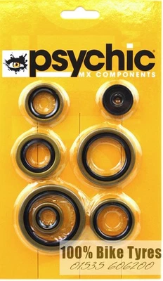 GAS GAS EC250 EX250 MC250 EC300 EX300 2021 2022 2023 2024 Engine Oil Seal Kit — 第 1/2 张图片