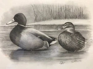 DUCK LITHOGRAPH Louis Frisino Signed And Numbered LTD ED Duck Charcoal 14X17” - Picture 1 of 3