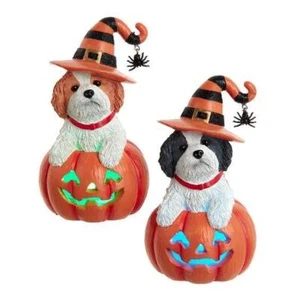 Par de perros Shih Tzu Halloween iluminar calabaza decoración de mesa - Imagen 1 de 1