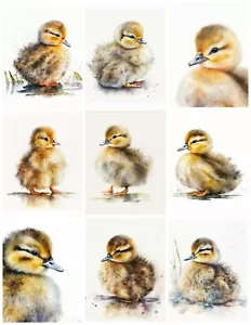 Set of 9 Vintage Watercolor Ducklings 8x10 Collage Cotton FABRIC Panel - Picture 1 of 1