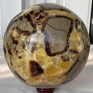 3820G Natürlicher Schildkrötenrücken Stein Drache Kristall Kugel Quarz Mineral Heilung - Bild 1 von 12