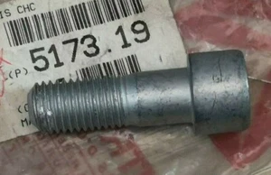 Rear crossmember screw Citroen Xantia I & II 517319 New genuine PSA parts - Picture 1 of 2