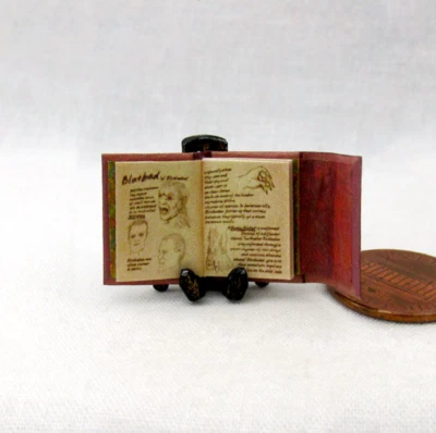 1:24 Scale BOOK OF WESEN LORE Book Dollhouse Miniature Illustrated Book Grimm - Image 1 of 4