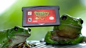Frogger's Adventures: Temple of the Frog for Game Boy Advance Tested - Picture 1 of 3