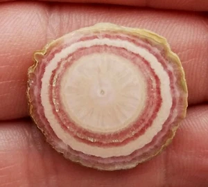 POLISHED RHODOCHROSITE STALACTITE SLICE CAB CABOCHON FROM ARGENTINA 31.55 CARATS - Picture 1 of 2