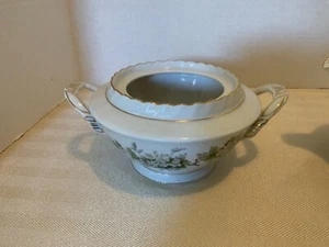 Vintage FRANCONIA-KRAUTHEIM Selb Bavaria HAWTHORN Sugar Bowl NO LID - Picture 1 of 7