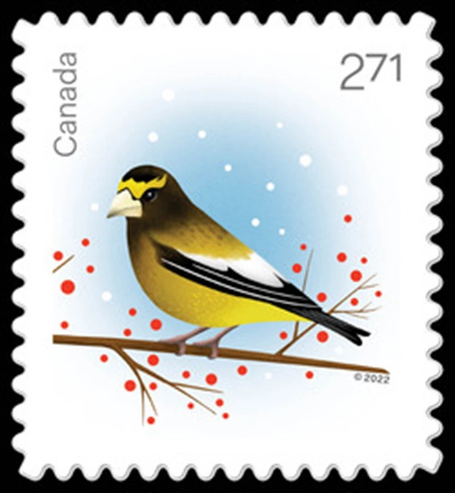 🍁Canada  #3367     "HOLIDAY BIRDS"      Brand New  2022  Die Cut  Q/Pac Single - Image 1 of 1