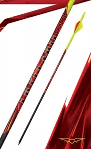 Black Eagle Outlaw Fletched Arrows - 6-Pack-350 Spine -.005 +/- , Black - EB206 - Picture 1 of 1
