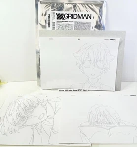 gridman RAW IN-BETWEEN FRAME 3 draw Staff art in package TRIGGER - Bild 1 von 18
