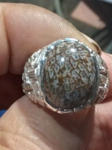 SOUTH DAKOTA GEM DINOSAUR BONE STERLING RING NE - Picture 1 of 4