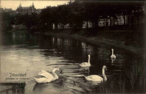 DÜSSELDORF am Rhein alte Postkarte ca. ~1910 Schwäne im Hofgarten Teich Postcard - Bild 1 von 2