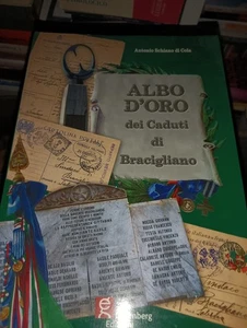 ALBO D'ORObdei Cadutidi Bracigliano - Foto 1 di 1
