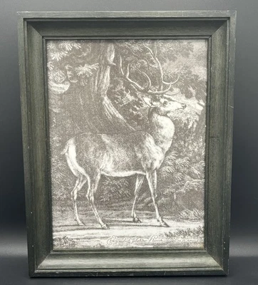 Gravure décorative d’après Ridinger cerf forêt chasse XXème encadrée - Photo 1/4