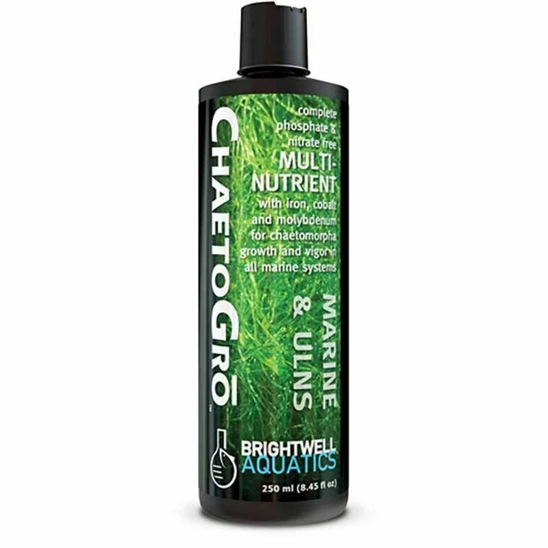 Chaeto Gro Chaetomorpha - (500 ml) - Brightwell Foto 1 de 1