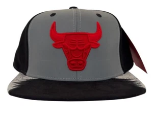 Mitchell & Ness NBA Chicago Bulls Day 5 grau & schwarz Snapback Mütze, Cap, neu - Bild 1 von 11