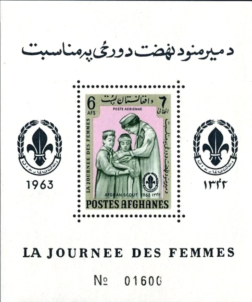Afghanistan #MiBl49A MNH 1963 Girl Scout Flag Nurse Women [668N] - Image 1 of 1