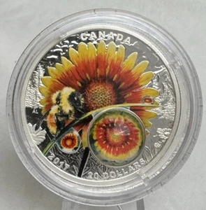 2017 Canada $20 Fine Silver Coin Mother Natures Magnification Beauty Under Sun - Picture 1 of 3