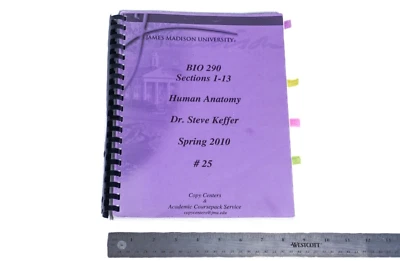 Human Anatomy Lab Notebook with neatly written notes & color coding - Image 1 of 4
