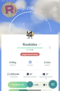 Shiny Rookidee Go Reg or 1M FAST TRADE - Bild 1 von 2