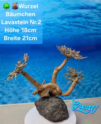 NEUHEIT Morkien Aquarium Wurzel auf Lava Stein - Bild 1 von 3