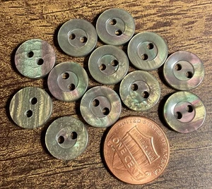 Set of 12 Vtg NOS Olive Green Plastic 2-hole Sew-thru Buttons 12mm 1/2" 16123 - Picture 1 of 3