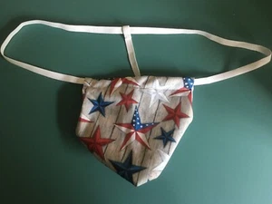 Herren USA AMERIKANISCHE FLAGGE patriotisch 4. Juli Party String Tanga Männerunterwäsche - Bild 1 von 1
