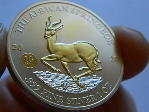 2020 1000 Francs CFA - Republik Gabun - 1oz Silber .999 - vergoldet 24ct Gold BU - Bild 1 von 9