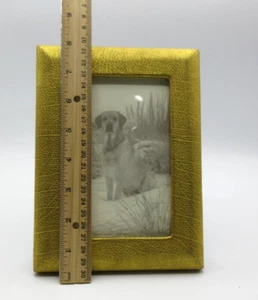Picture Frame Holds 4x6" Photo Leather Graphic Image GOLD - Picture 1 of 6