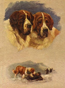 SAINT BERNARD DOGS HEAD STUDY LOVELY DOG GREETINGS NOTE CARD - Picture 1 of 1