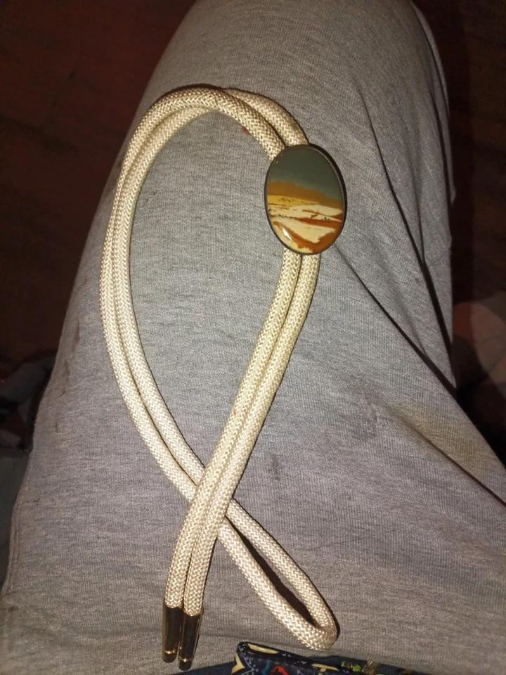 Corbata vintage antigua peón plata esterlina desierto jaspe bolo ÚNICA Foto 1 de 4