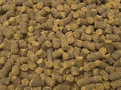 ABF SOFT FOOD PELLETS Rangen,Fish,Aquatic Frogs,Axolotl,Sturgeon,6.3mm - ABF440 - Image 1 of 4