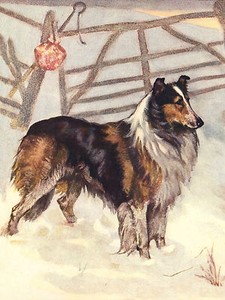 ROUGH COLLIE IN THE SNOW LOVELY DOG GREETINGS NOTE CARD