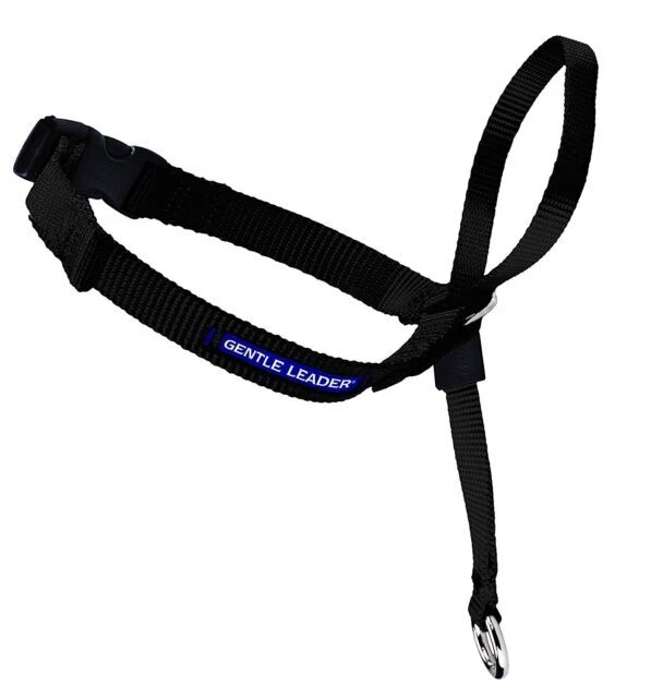 PetSafe Gentle Leader Head Collar, Medium - Black