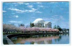 1954 Jefferson Memorial im April Kirschbaum Washington DC Postkarte - Bild 1 von 2