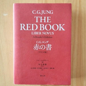 NEW C.G. Jung The Red Book Liber Novus Plates Illustrations Rare Psychology - Imagen 1 de 4