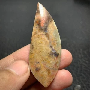 Cabujón fósil coral ciempiés 55x21x6mm alta calidad 51,5 ct - Imagen 1 de 5