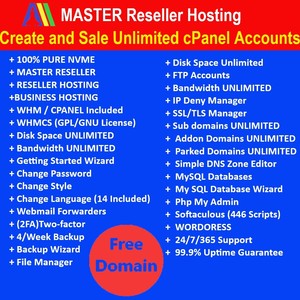 经销商托管 Ebay