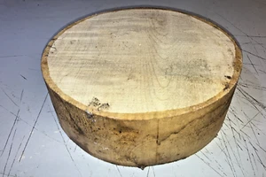 260X80MM LOTTO 376A LEGNO DI SICOMORO INCRESPATO TORNITURA LEGNO VUOTO - Foto 1 di 1